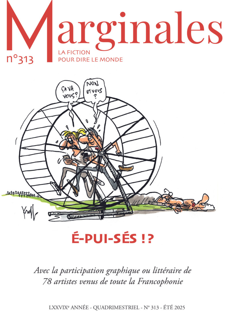 Revue belge Marginales n°313